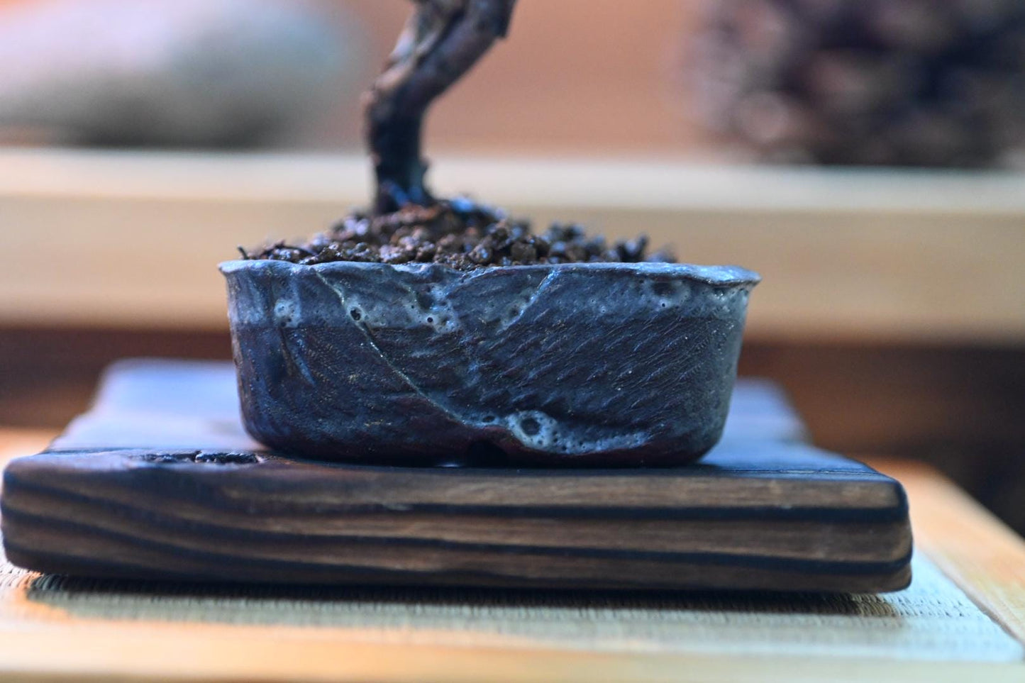 Mini juniper bnonsai in a handmade ceramic pot from Miyazaki, Japan