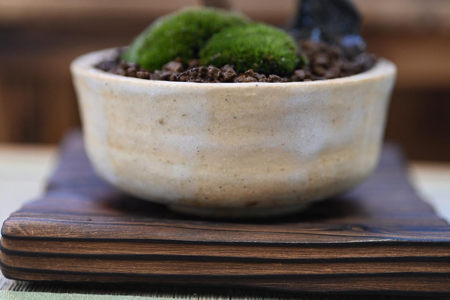 Mini Masaki bosai - Miyazaki Pot | 6-7 inches